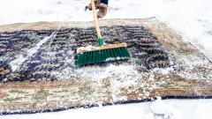 Чистка килима снігом. Як чистити килим на снігу?