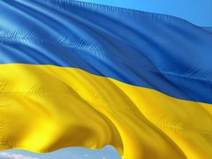 День Незалежності України - режим роботи килимового магазину в Києві